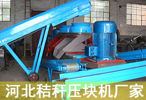 河北秸稈壓塊機廠(chǎng)家應從基本上轉化經(jīng)管概念